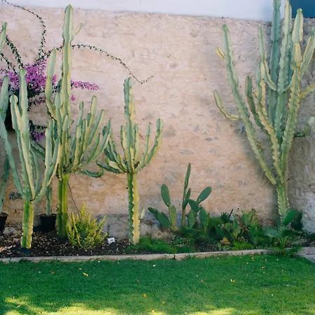 189 - Charming Garden In The Heart Of *